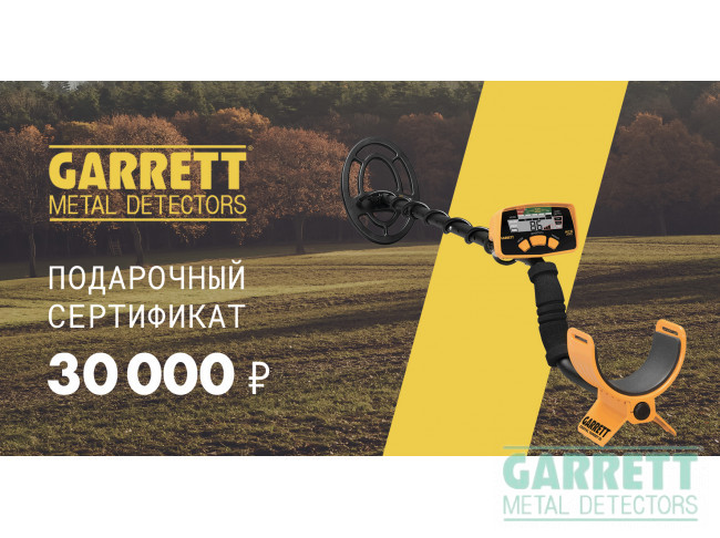 30000 руб.  в фирменном магазине Сертификат